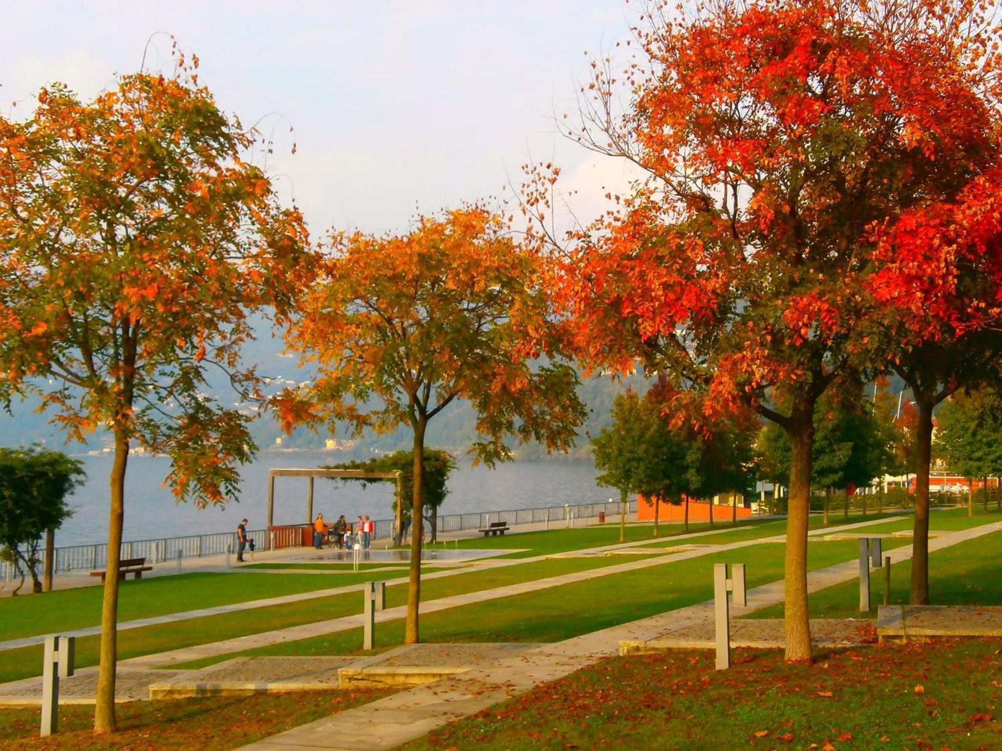 Lago Maggiore Holiday House, Lake View, Vignone Dumenza Ngoại thất bức ảnh