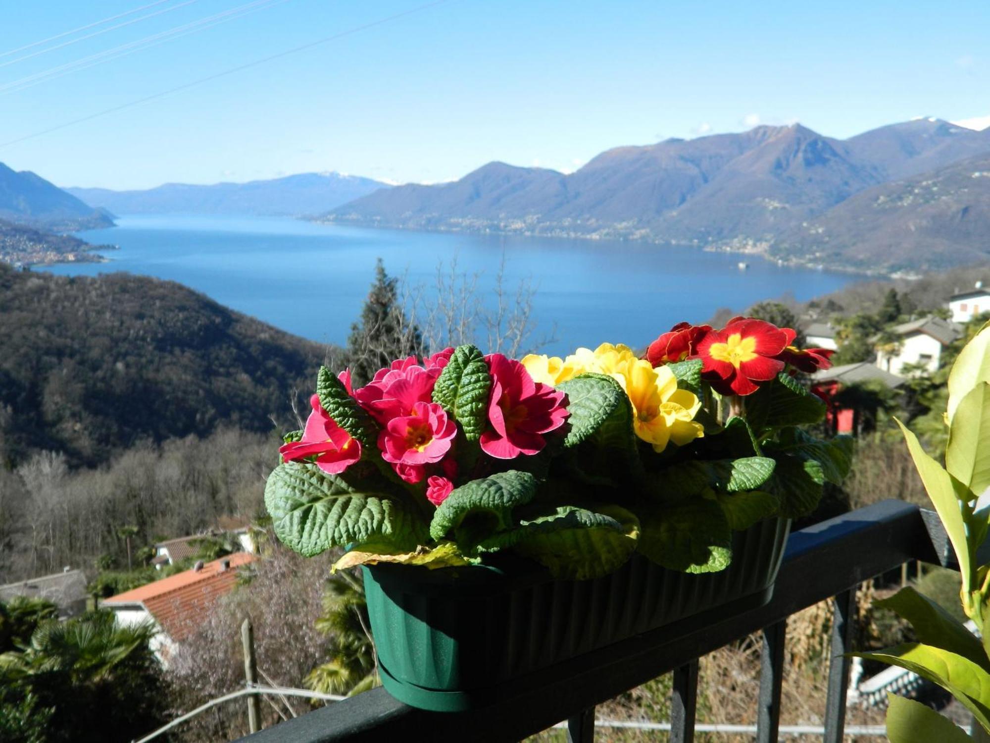 Lago Maggiore Holiday House, Lake View, Vignone Dumenza Ngoại thất bức ảnh